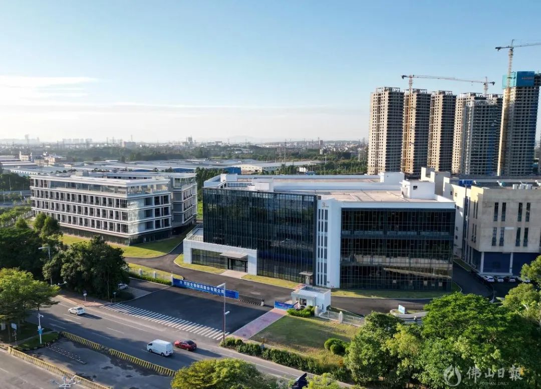 1668068966118020.jpg 6.jpg